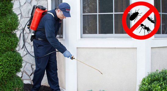 Eynesil Dezenfeksiyon böcek ilaçlama ve haşere kontrolü — ilaclama-tr.com